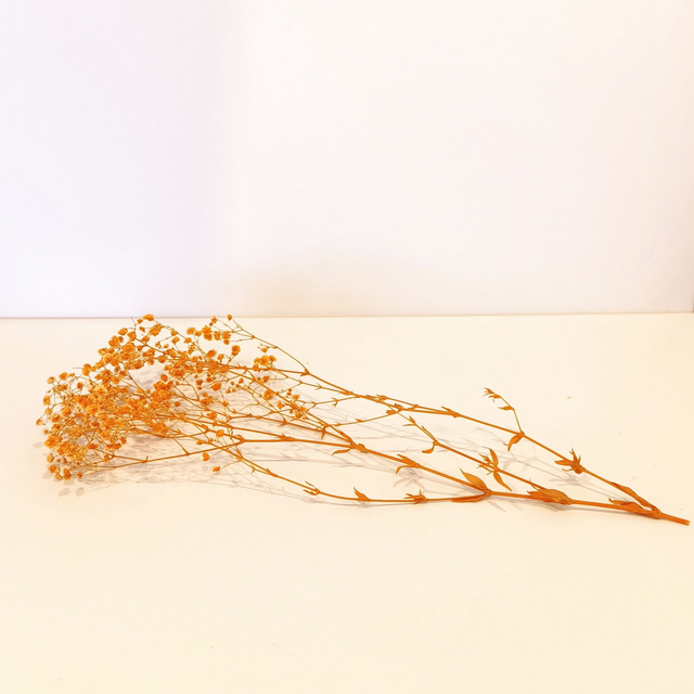 Gypsophile stabilisé – Fleur légère et naturelle pour bouquets, déco florale et mariages