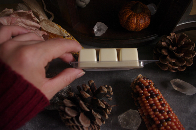 Fondant parfumé Mélinda — Citrouille, Ambre, Girofle & Vanille