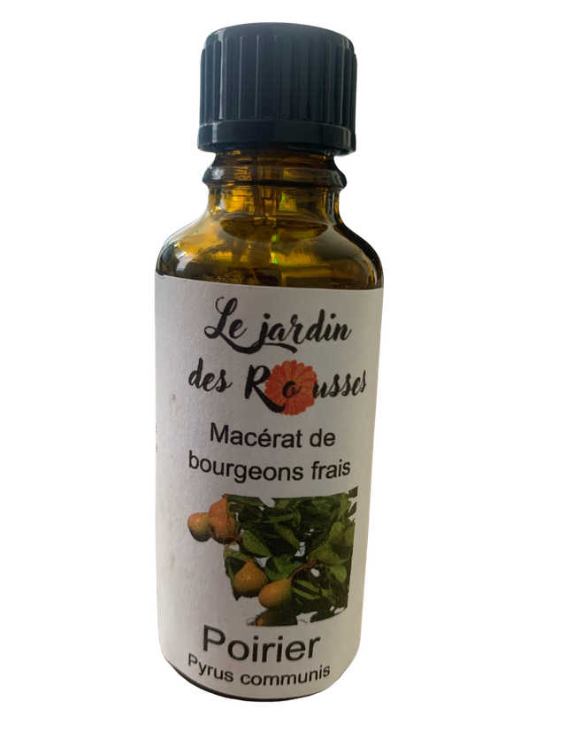 POIRIER - Macérât glycériné de bourgeons Flacon de 30 ml 