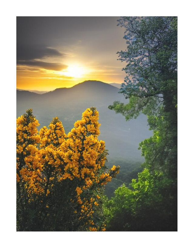 Sunset over The Ox Mountains, County Sligo. 5" x 7 " Blank Greeting card with envelope. includes postage to all of Ireland.

