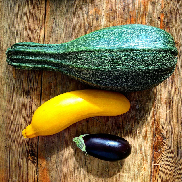 Courgettes
