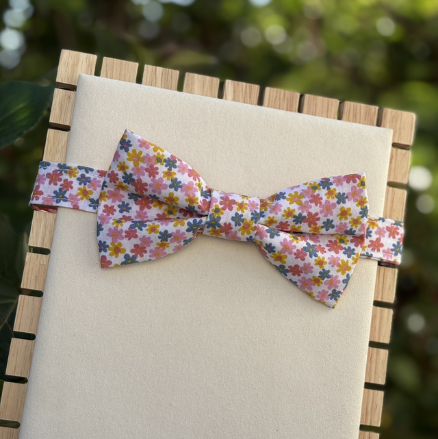 Noeud papillon - botanica