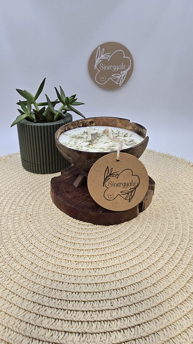 Vela en coco - Concentración