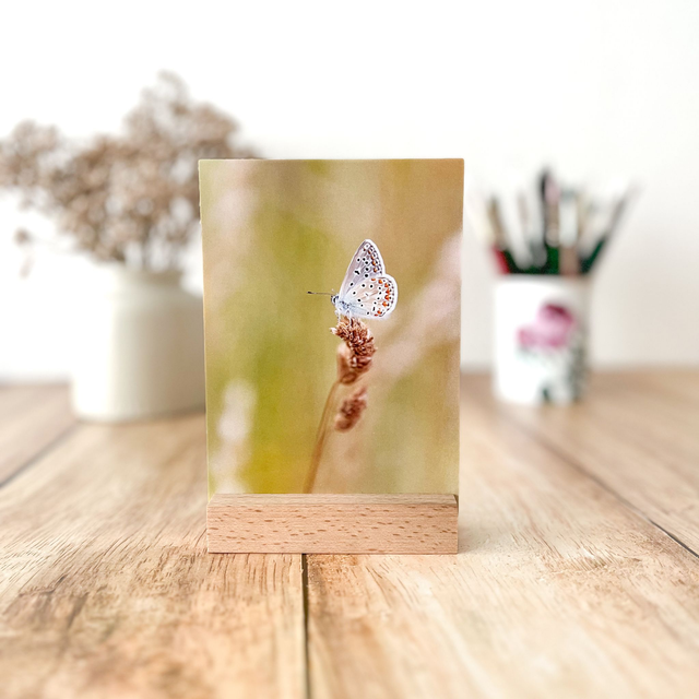 Porte photo/carte-postale en bois