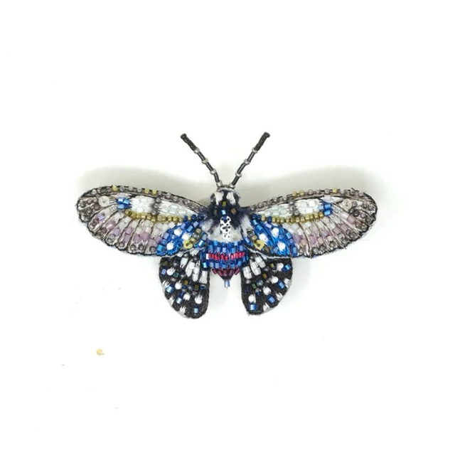 Papillon Bornéo