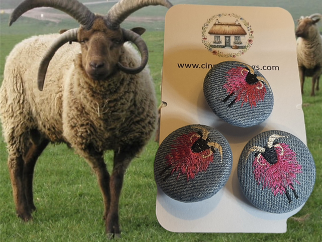 Funky Loughtan Buttons - Pink