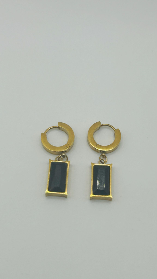 Stainless Steel Earrings (SSE30J)