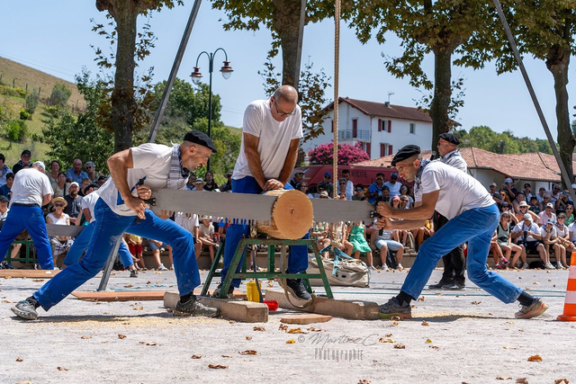 ARPANA LEHENGO    (1)