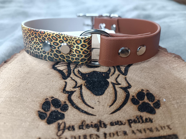 Duo biothane 25mm et biothane uv