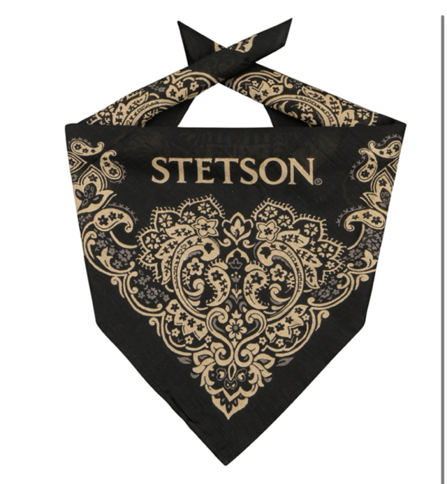 Stetson Paisley Bandana 