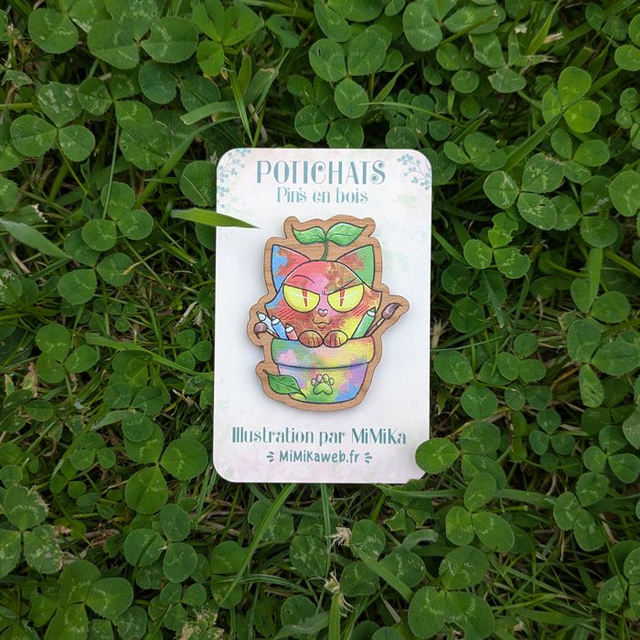Pin's Potichat mystère