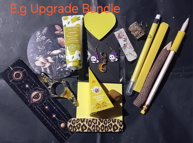 Upgrade Bundle