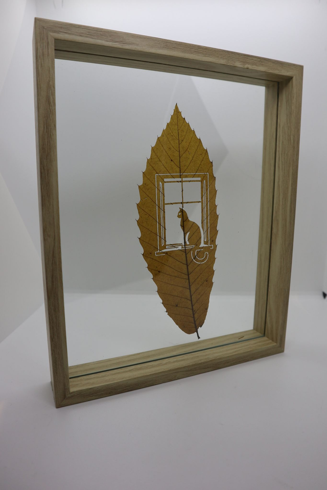 Une fenêtre sur la nature