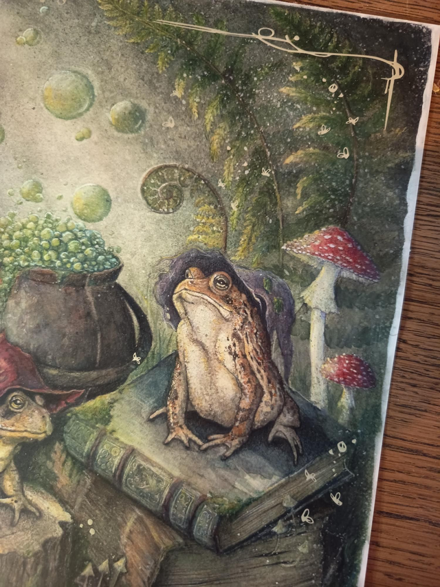 La Confrérie du Marais - Illustrations Fantastique