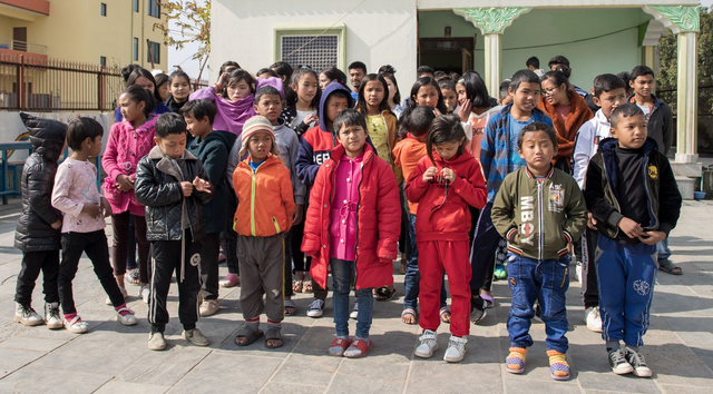 GIFT A TREE FOR A BIRTH