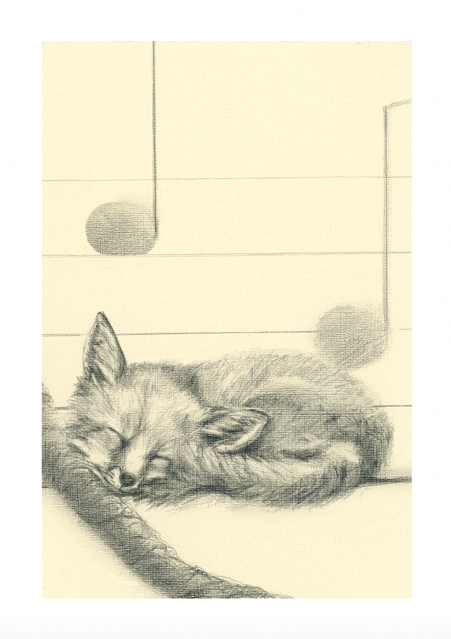 The sleepy fox