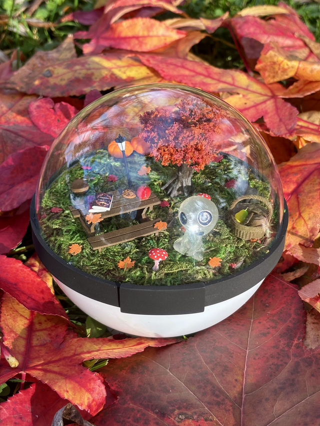 🍂 Terrarium Kodama - Édition Automne