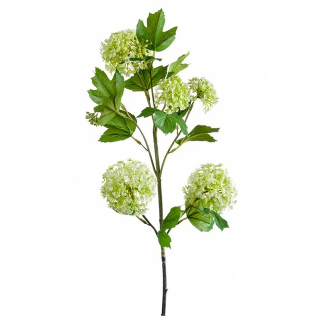 Viburnum spray Green 75cm