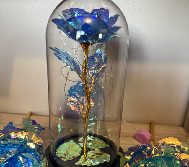 Rose moyenne lumineuse bleue