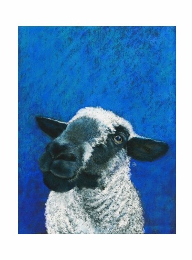 Print (large)  'ZUSSIE' (Flappus)