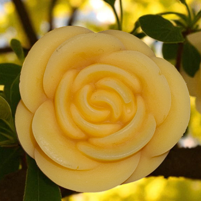 Fondant parfumé "Tubéreuse prestigieuse"