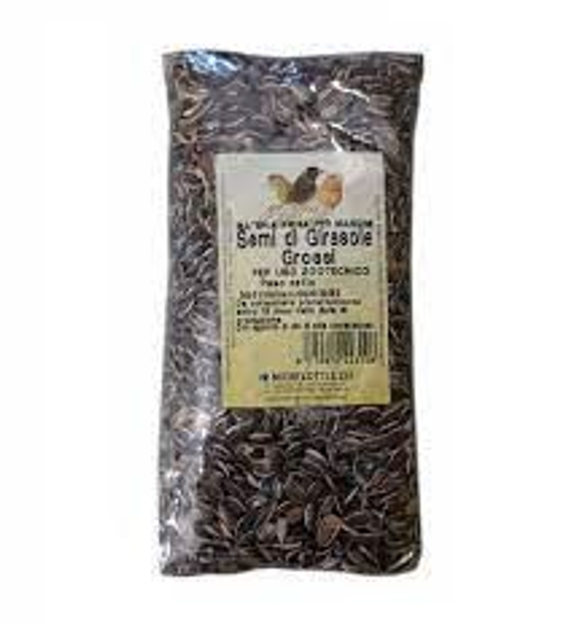 Girasoli striati 700 gr