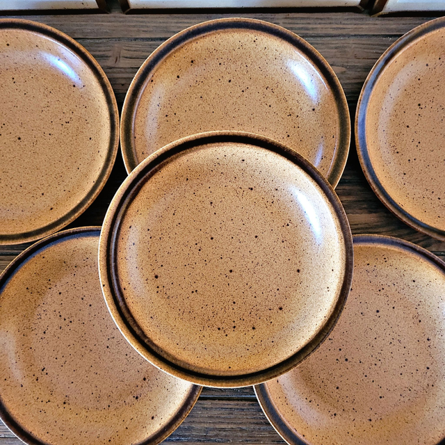 X Assiettes creuses grès de Bourgogne Sarreguemines (lot de 6)