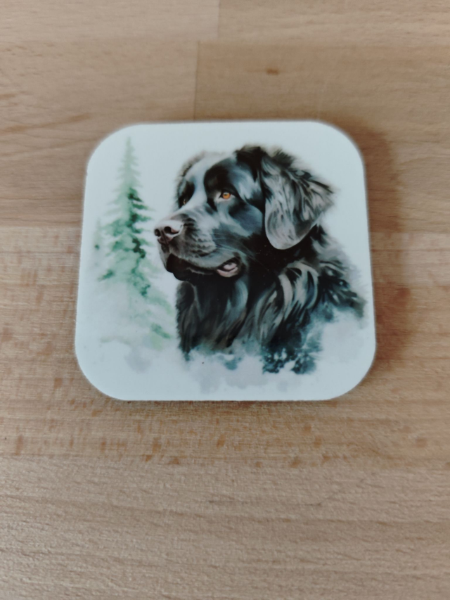 Magnet Terre Neuve