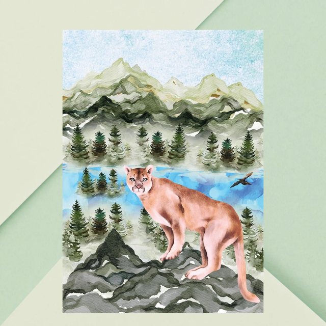 Impression de Lion des Montagnes dans la Nature Sauvage / Mountain Lion Print - Wild Nature Portrait