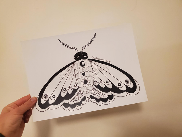 &quot;Moon Moth&quot; Art Print 