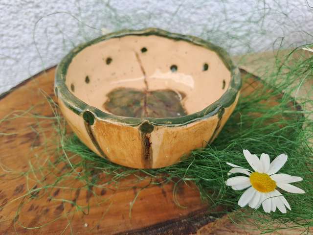 Mini skledica bršljan