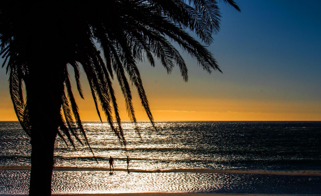 Tropical Paradise Photographic Mug