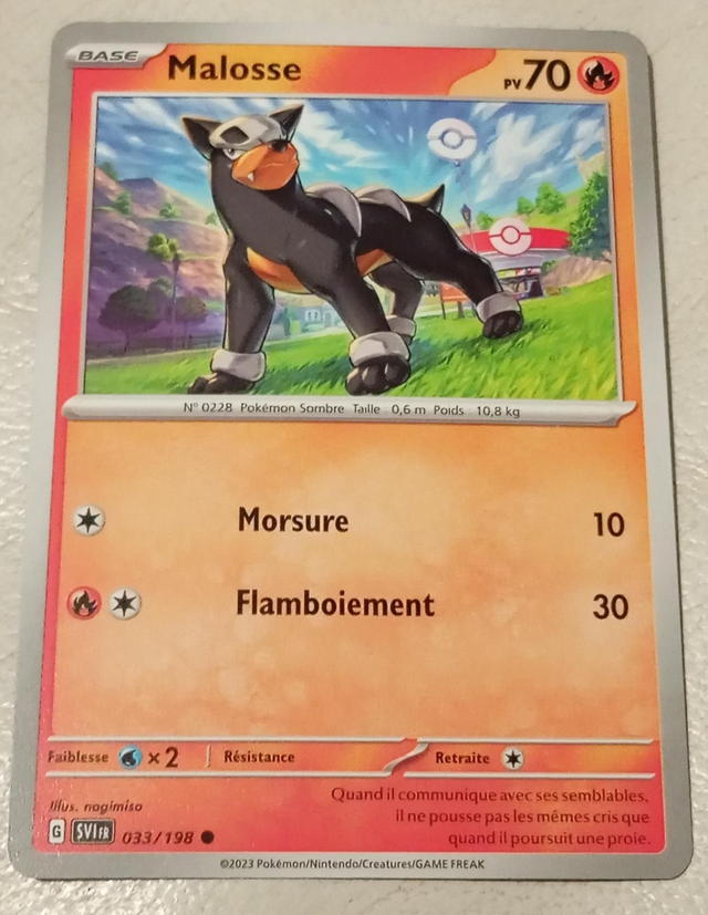 Carte pokémon Malosse 