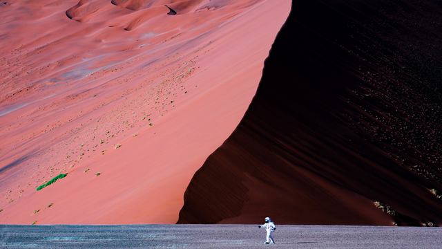 Under the Namib 90x60