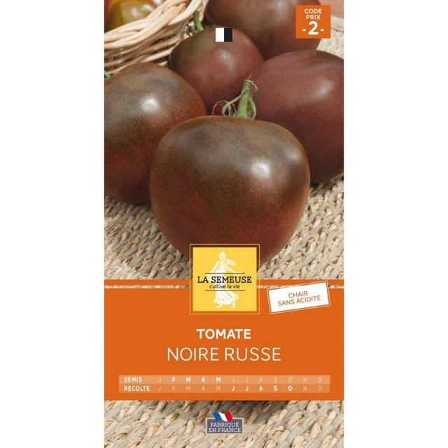 TOMATE NOIRE RUSSE