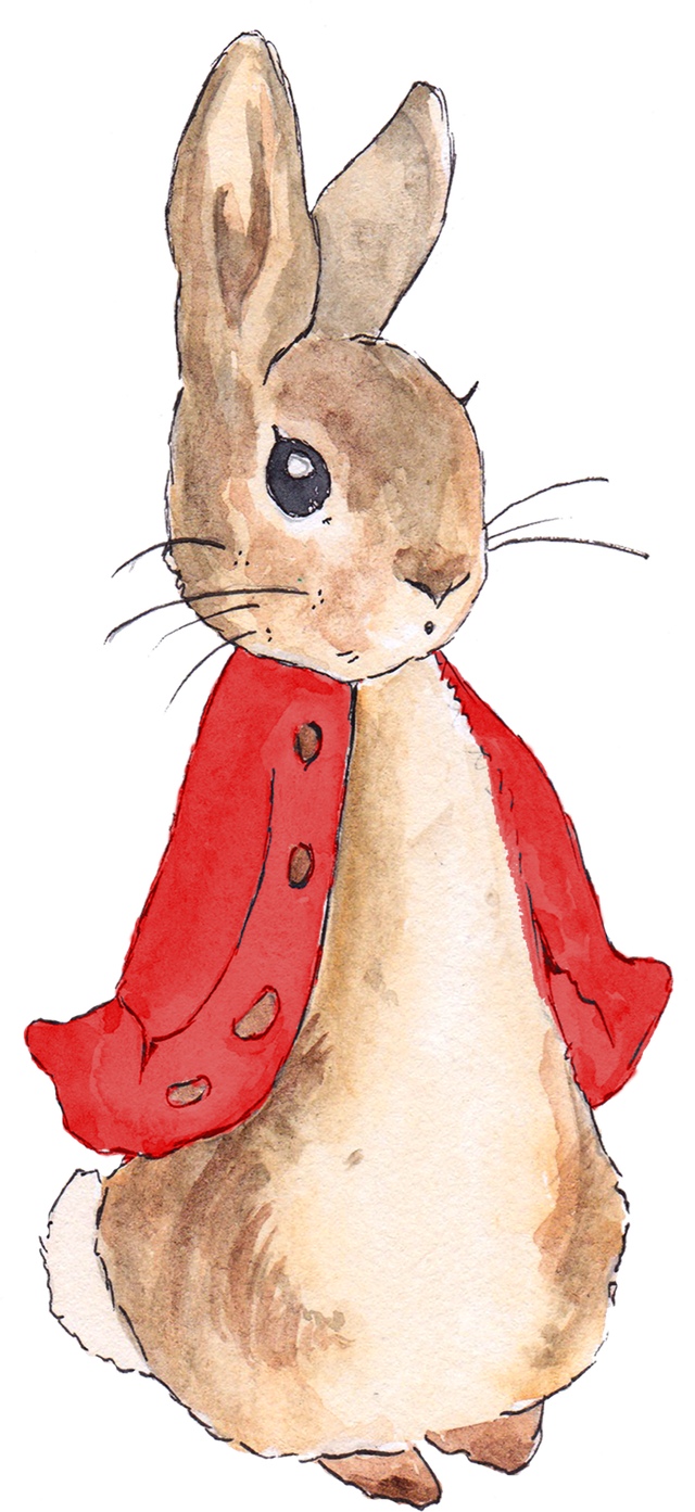 Peter Rabbit Red Coat  DTF   