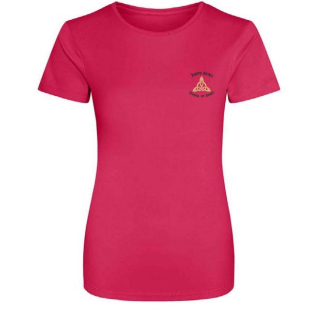  Irish Dancing Class Ladies T-Shirt (Adult Sizes)