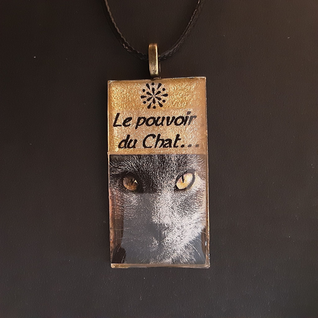 Pendentif rectangle moyen collection Chat fond or inscription &quot;le pouvoir du chat&quot; et photo Enti