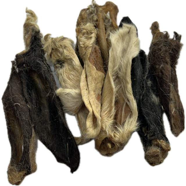 5 lambs ears with fur