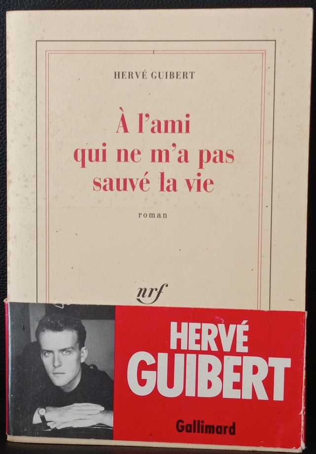 A l'ami qui ne m'a pas sauvé la vie de Herve Guibert