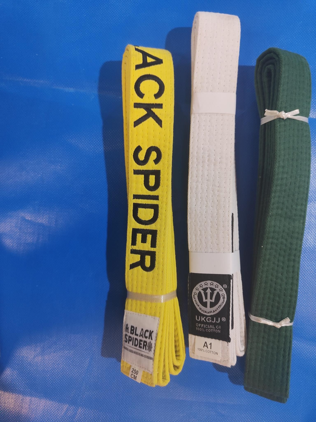 Judo Belts
