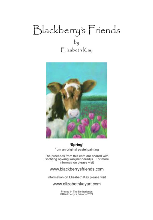 Greeting Card 'SPRING' (Konijnenparadijs) (A6 size)