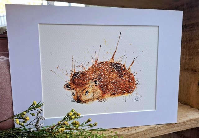 Hedgehog print   