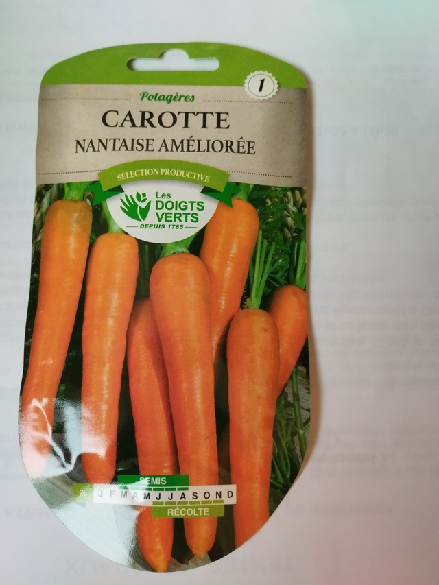 Carotte Nantaise Amélioré