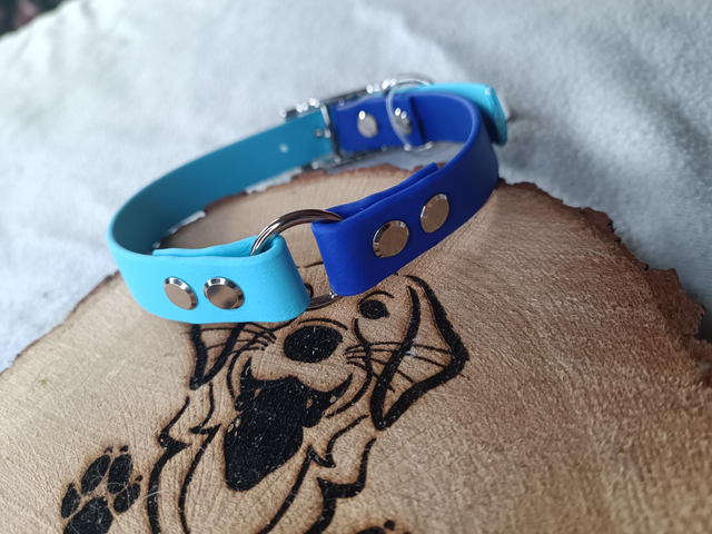 Collier biothane duo 19mm
