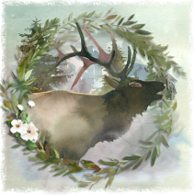 Hand made Cards - Nature