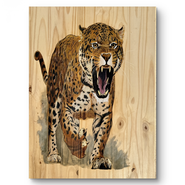 Jaguar Charismatique