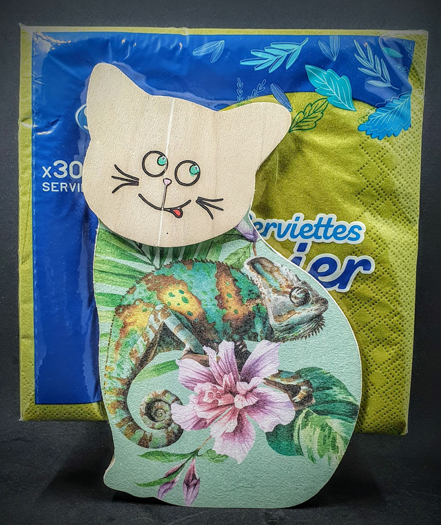 distributeur de serviettes