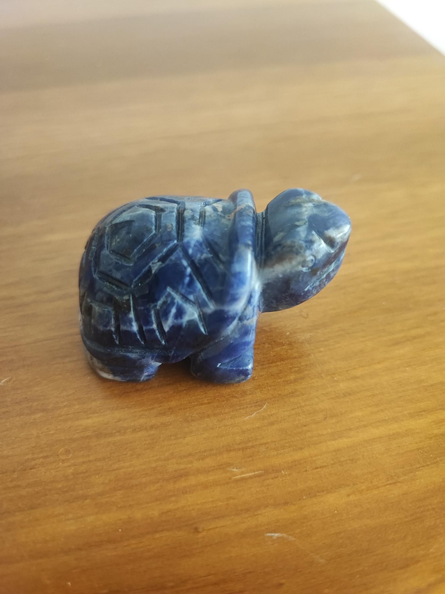 Tortue sodalite 