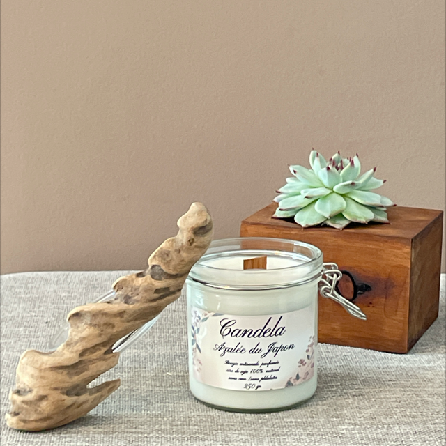 Bougie Azalée du Japon 250 g